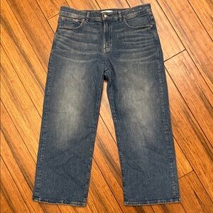 Madewell Sz 31P Perfect Vintage Wide-leg Jeans